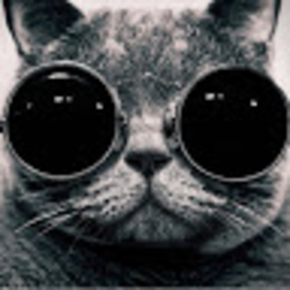 Meet your Posher, Garrett - Picture 1 of 1